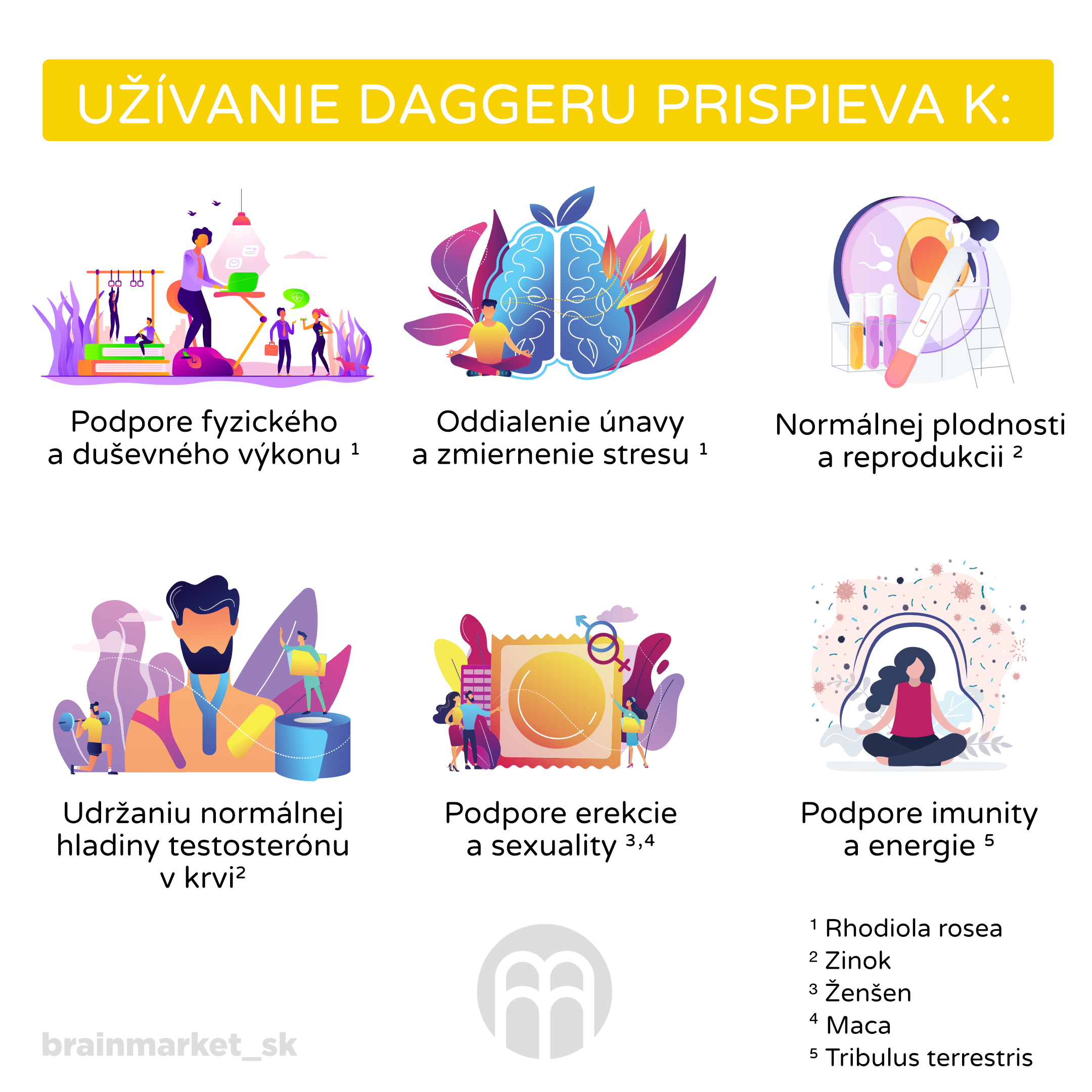 dagger infografika SK